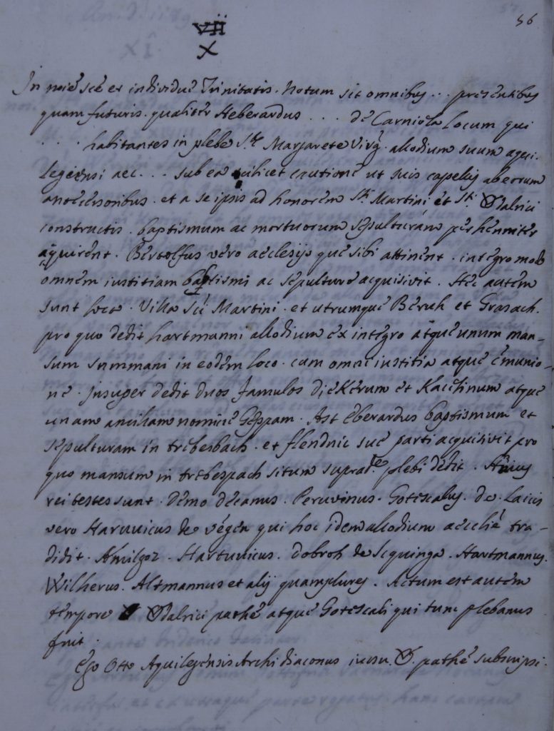 Prepis listine iz arhiva stolnega kapitlja v Vidmu